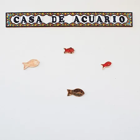 Casa De Acuario - Nice With Swimming Pool Villa Corralejo